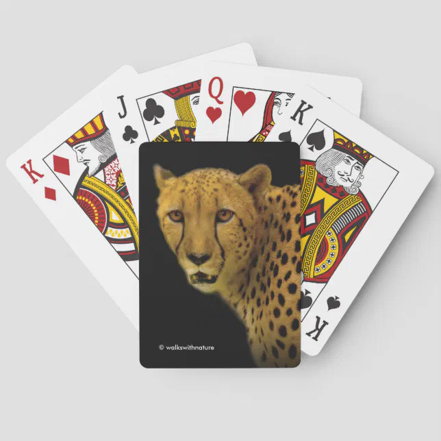 Trading Glances with a Magnificent Cheetah Poker Cards