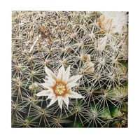Flowers on a Cactus Tile