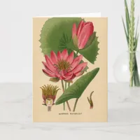 Vintage Waterlily, German Birthday Card