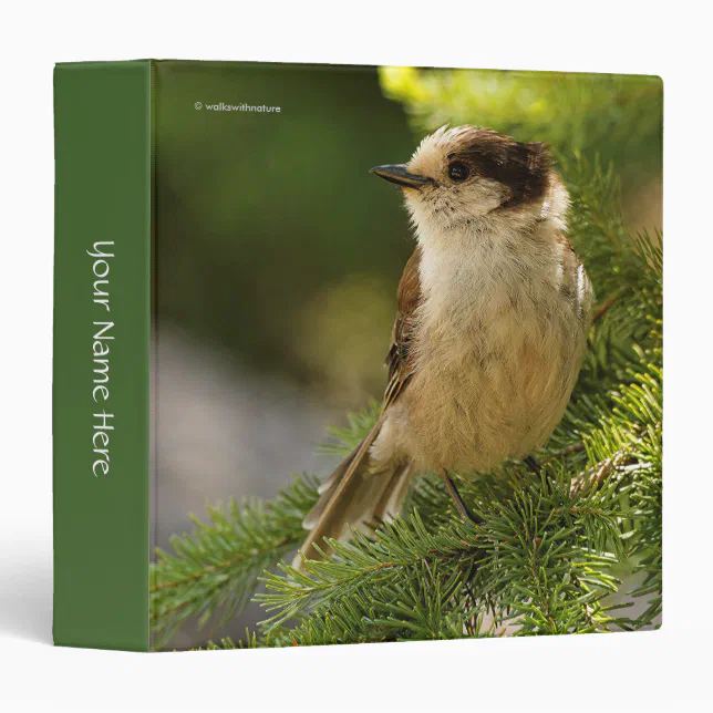 Profile of a Cute Grey Jay / Whiskeyjack 3 Ring Binder