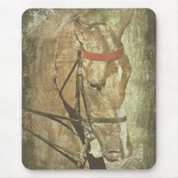 American Saddlebred Mouse Pad