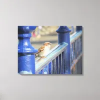 Canvas print - Sparrow on fence