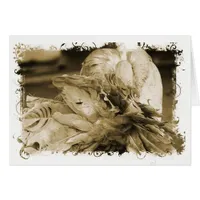 Fantail Pigeon