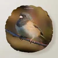 Dark-Eyed Junco on a Limb Round Pillow