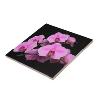 Elegant Pink Orchids Phalaenopsis on Black Ceramic Tile
