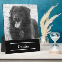 Your Dog Photo Presentation Create Your Own Plaque