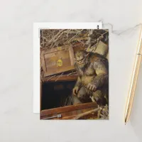 Troll enters a Portal Postcard