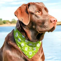 Green And White Polka Dot Paw Print Monogram Pet Bandana Collar