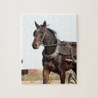 Rural Amish Horse and Buggy Jigsaw Puzzle