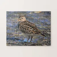 Stunning Pectoral Sandpiper Shorebird on the Beach Jigsaw Puzzle