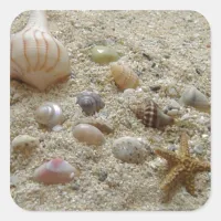 Seashells In The Sand Square Sticker