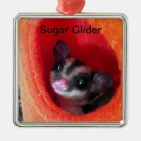 Sugar Glider in Orange Hanging Bed Metal Ornament