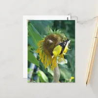 Goldfinch and a Sunflower Postcard