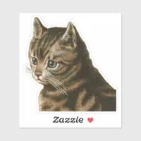 Vintage Tabby Cat Sticker