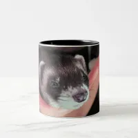 Adorable Sable Ferret Photo Two-Tone Coffee Mug