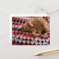 Sleepy Ginger Kitty on a red quilt Postcard