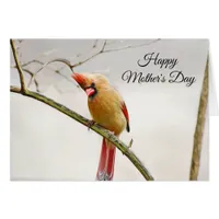 Happy Mother's Day Cardinal Card