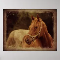 Sorrel Horse Poster