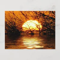 Liquid Sunset Postcard