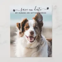 Budget Dog Wedding Pet Photo Save The Date Cards