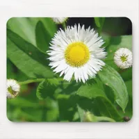 White Flower Weed Mouse Pad