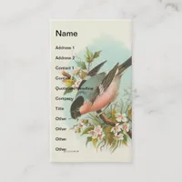 Vintage Bullfinch Business Card