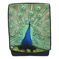 Backpack - Peacock