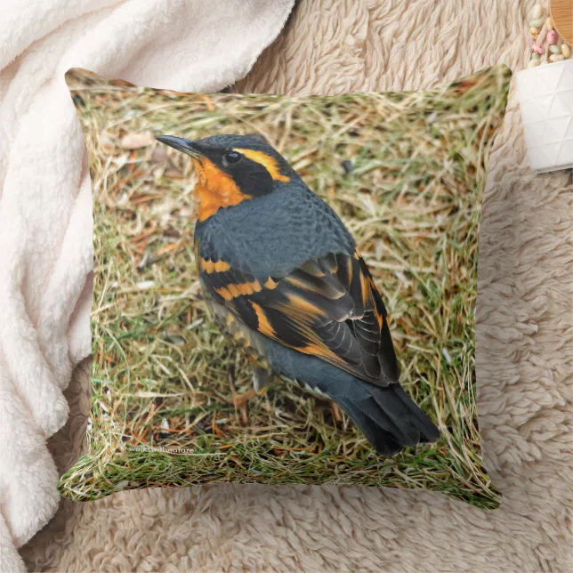 Stunning Varied Thrush on the Lawn Throw Pillow