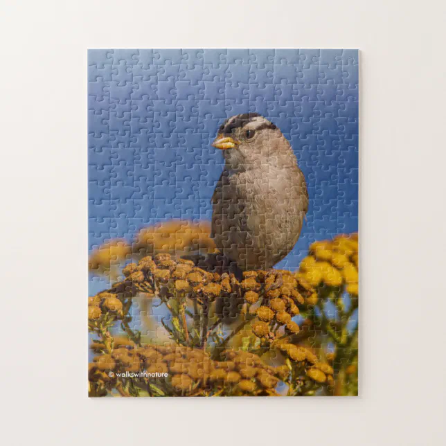 White-Crowned Sparrow Sitting on the Tansy Jigsaw Puzzle