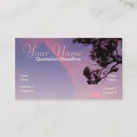 LookUp 2da Skies Business Card