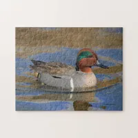 Male Green-Winged Teal at the Pond Jigsaw Puzzle