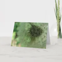 Dandelion Seeds Card