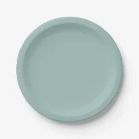 Simple Eggshell Blue Birch Wedding Plates