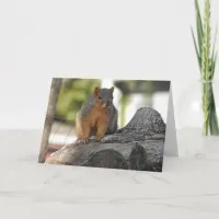 Just Saying Hi | Cute Squirrel Photo Card