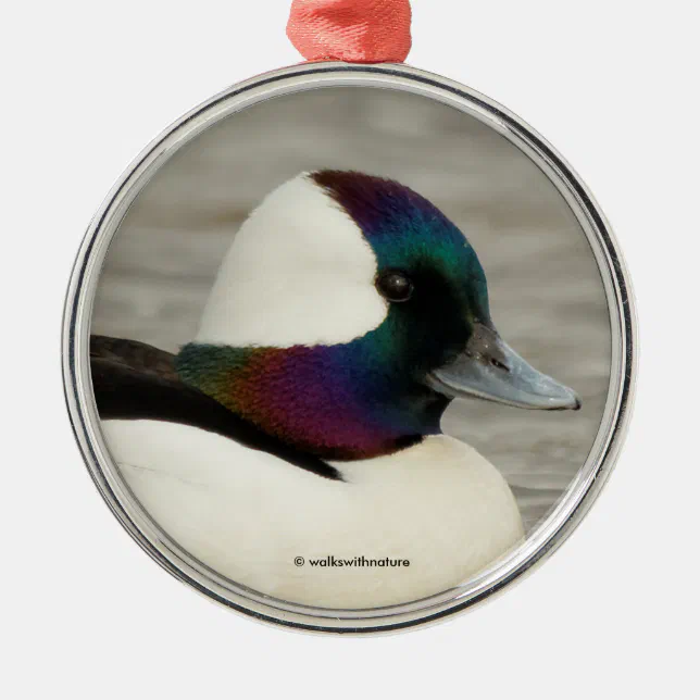 One Curious Bufflehead Metal Ornament