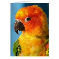 Pretty Bird