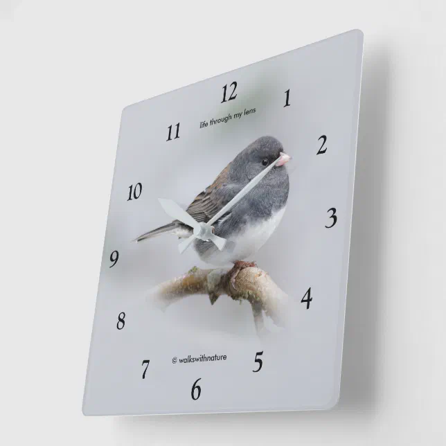 Slate-Colored Dark-Eyed Junco on the Pear Tree Square Wall Clock