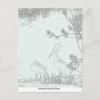 Postcard - Pelicans by the Pond