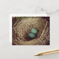 Two Robin Eggs in a Nest Postcard