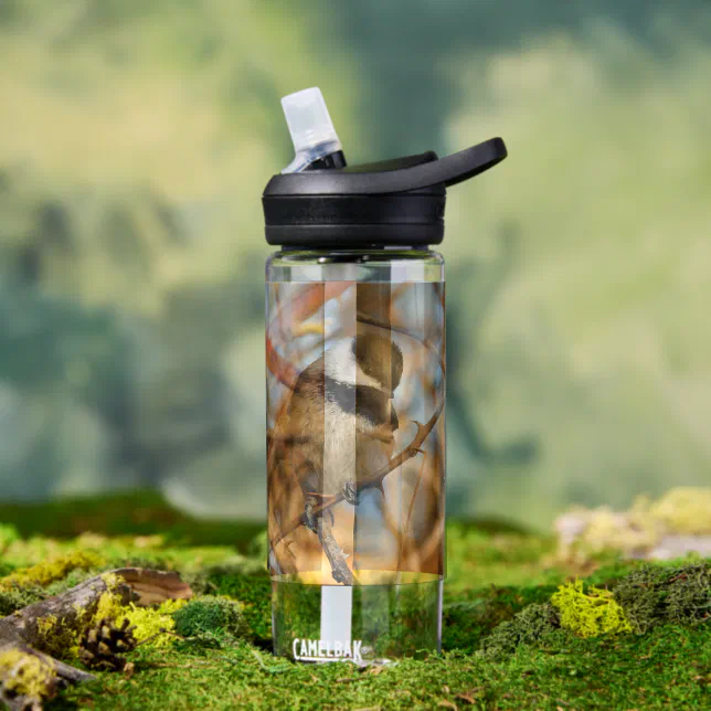 Cute Hopeful Black-Capped Chickadee Songbird Water Bottle