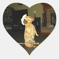 Sitting Pretty or Watching TV Dachshund Heart Sticker