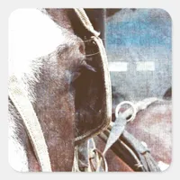 Pinto Amish Buggy Horse Square Sticker