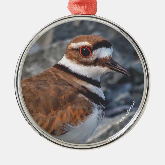 Closeup of a Killdeer Shorebird on the Rocks Metal Ornament