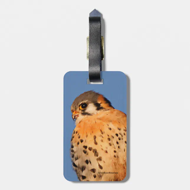 American Kestrel on a Wire Luggage Tag