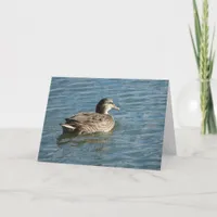 Duck At The Park Card