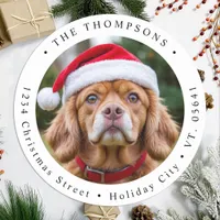 Custom Dog Photo Christmas Card Return Address  Classic Round Sticker