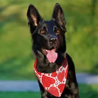 Fancy Red Hearts and Dots Pattern Pet Bandana Collar