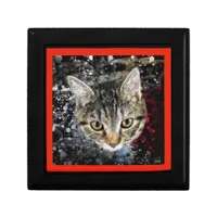 Cat in space gift box