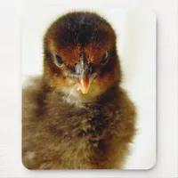 Cute Little Chick Mouse Pad