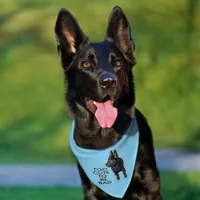 Too Cute to Be Bad Black GSD Puppy Dog Blue Pet Bandana Collar